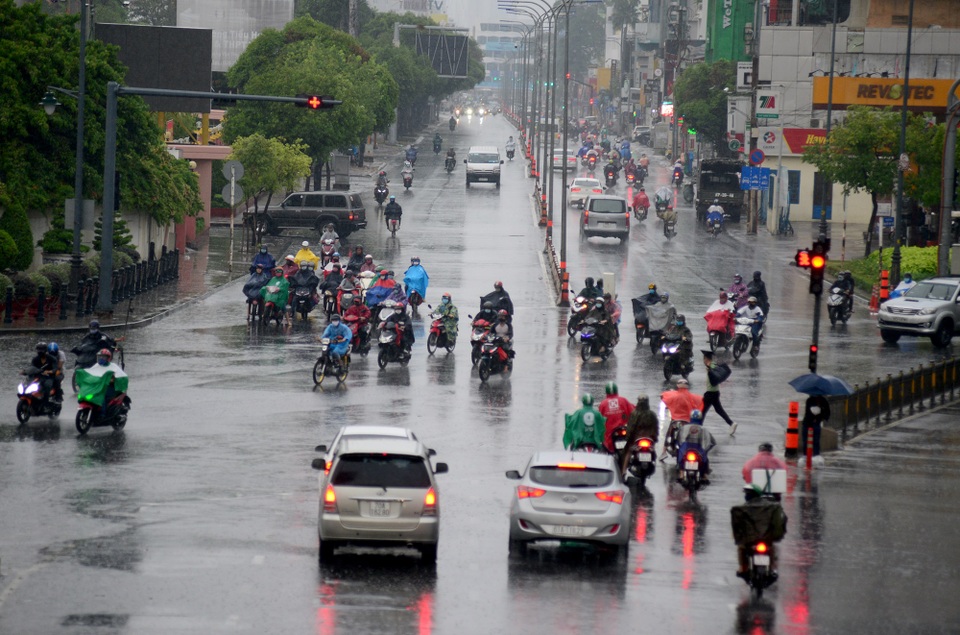 Sài Gòn đón mưa vàng.jpg Sài Gòn đón mưa vàng.jpg