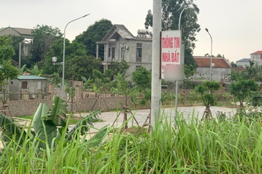 Nửa đêm vẫn có người đập cửa hỏi mua, sốt đất "tàn phá" nhiều khu vực