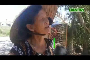 Sống cạnh nhà máy nước sạch, hàng nghìn hộ dân ở Bình Định vẫn “khát” nước