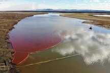 Tổng thống Putin ban bố tình trạng khẩn cấp quốc gia vì sự cố tràn dầu