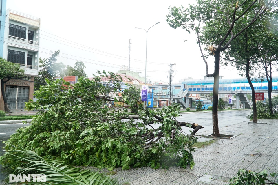 Đà Nẵng: Người dân phá rào vượt cầu Rồng trong cơn bão tố - 9 Đà Nẵng: Người dân phá rào vượt cầu Rồng trong cơn bão tố - 9