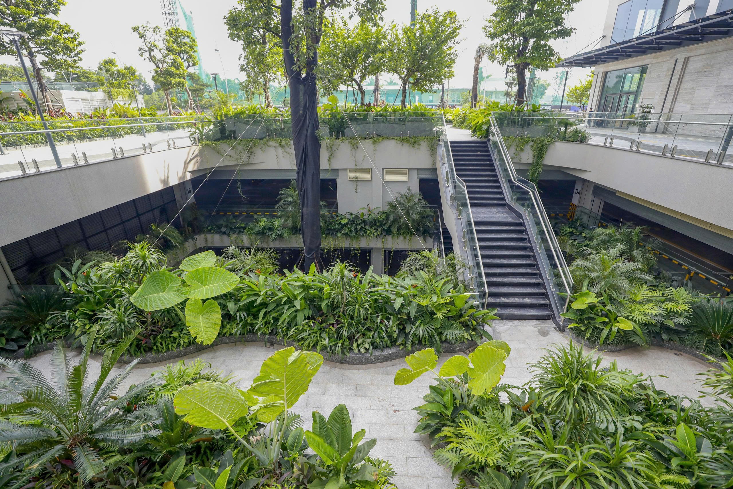 Pearl Tower - Nơi làm việc lý tưởng khơi nguồn cảm hứng từ ô cửa xanh - 2