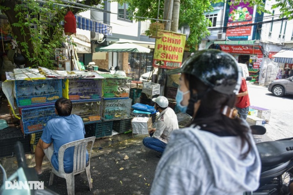 Phóng sinh và phóng tử - 1