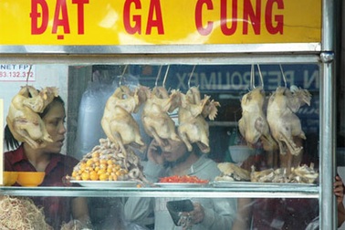 Gà thải TQ tràn ngập: Thảm họa không được kiểm soát