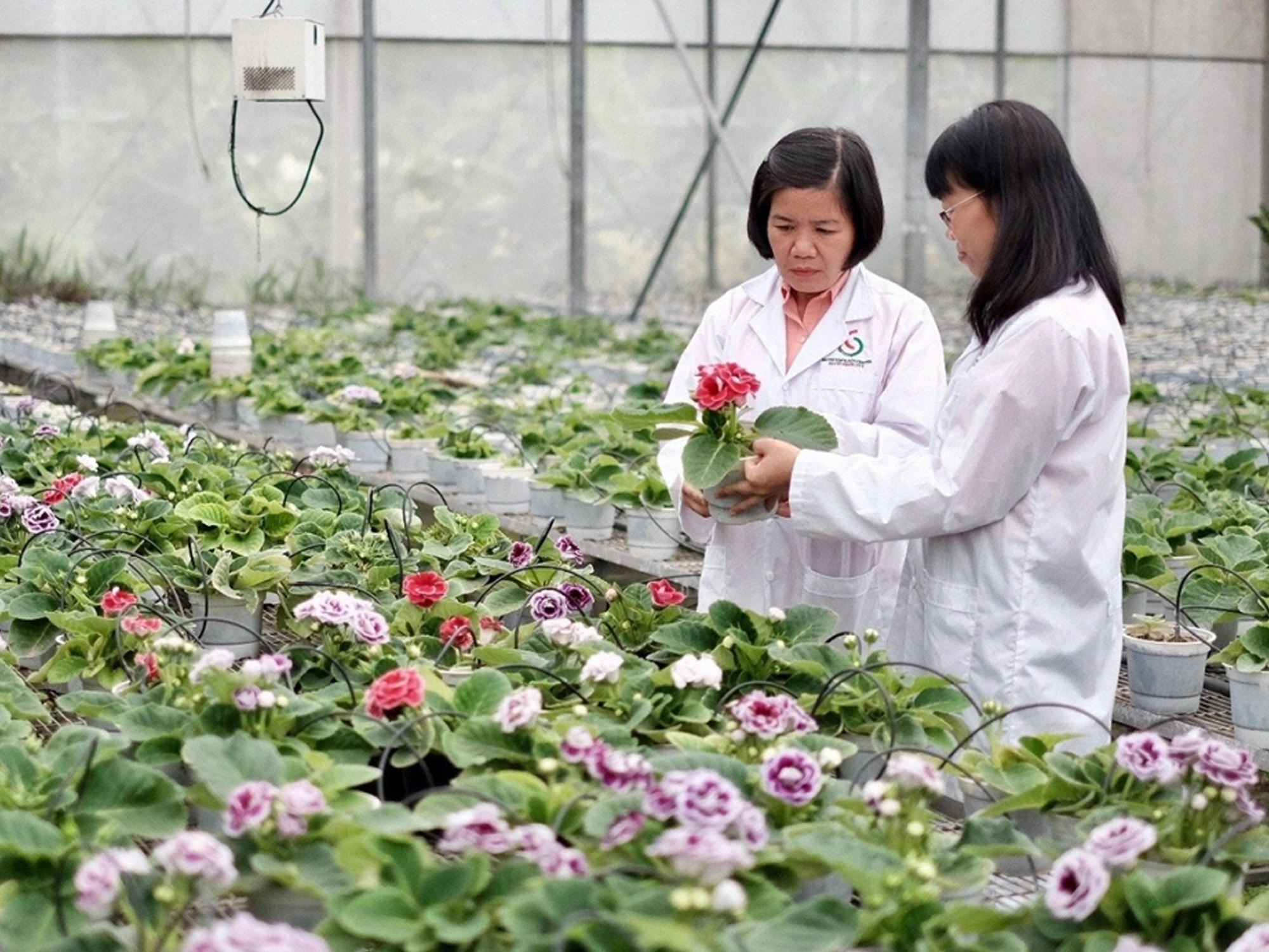 Người tài cần gì khi đầu quân về khu vực công? - 3 Người tài cần gì khi đầu quân về khu vực công? - 3