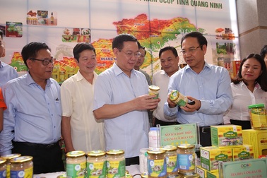 Phó Thủ tướng: Gắn sao cho mỗi sản phẩm chất lượng là gắn sao trong lòng dân