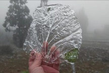 Băng tuyết phủ trắng cao nguyên đá Đồng Văn trong đợt rét "rất hiếm"