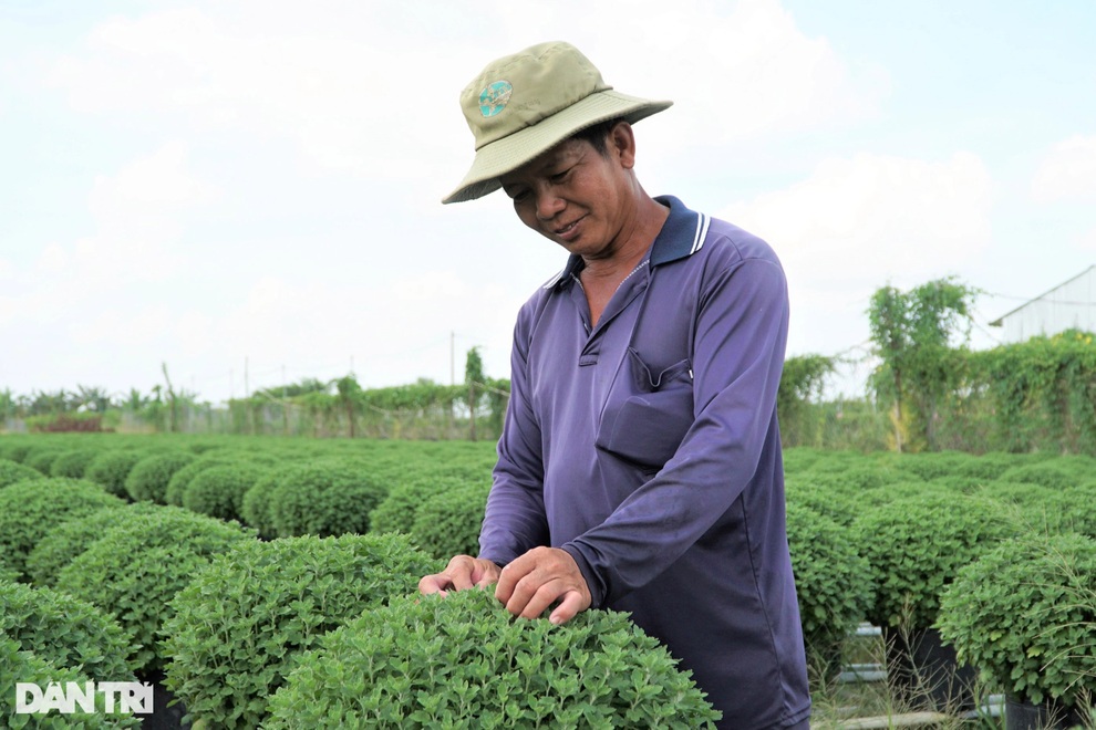 Người dân làng hoa trăm tuổi vừa chuẩn bị hàng tết vừa lo Covid-19 - 2 Người dân làng hoa trăm tuổi vừa chuẩn bị hàng tết vừa lo Covid-19 - 2