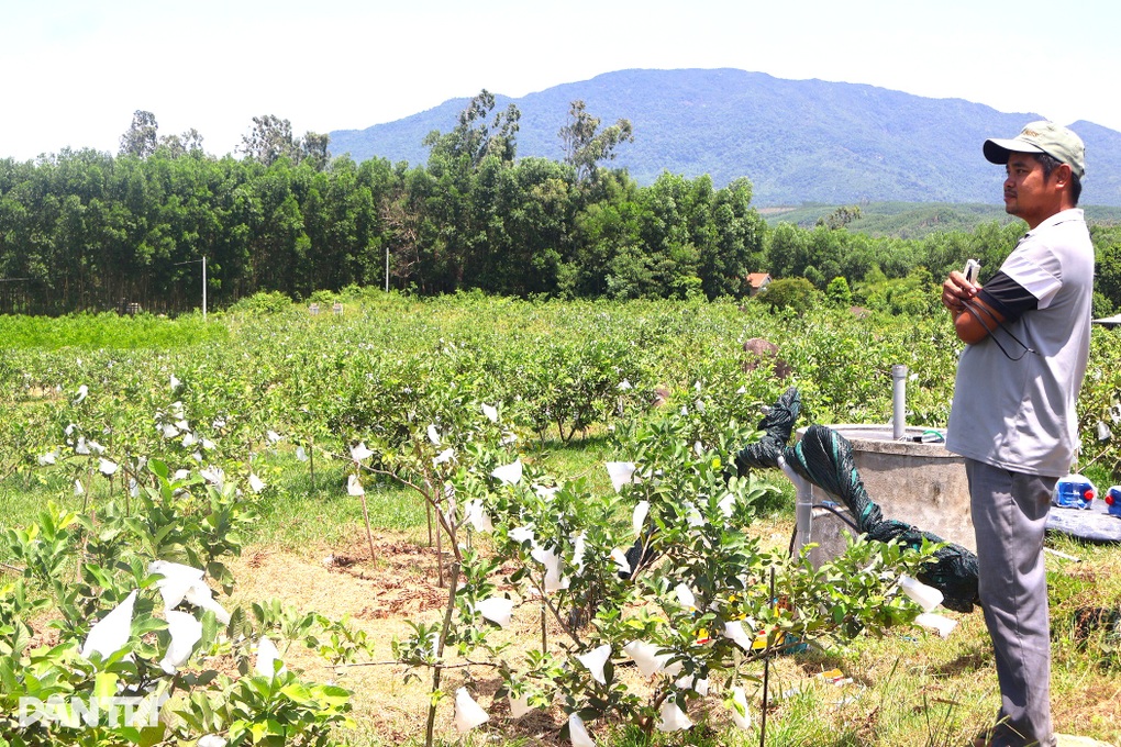 Đánh bạc với đất cằn, 8X trở thành triệu phú - 1 Đánh bạc với đất cằn, 8X trở thành triệu phú - 1