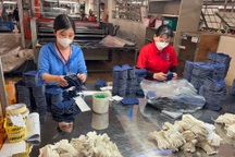 Loạt "ông lớn" ở Bình Định chậm đóng bảo hiểm, hàng nghìn người ảnh hưởng