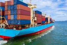 Giá cước tăng vọt, vận tải biển kiếm đậm nhất kể từ năm 2008