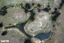 Không khởi tố vụ án phá rừng liên quan nguyên lãnh đạo tỉnh Phú Yên