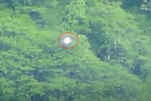 Quả cầu phát sáng kỳ lạ trên một khu rừng ở Mexico