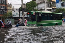 TPHCM: Ngưng mọi hoạt động giáo dục chiều tối nay 26/11