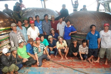 Cứu 35 ngư dân bị nạn trên biển về đất liền an toàn