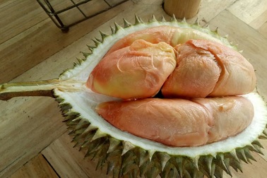 Cận cảnh trái sầu riêng Pelangi