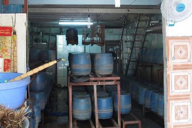 Một cơ sở trồng giá đỗ bằng hóa chất Trung Quốc