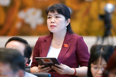 Giữa vịnh Hạ Long không có sóng vì lắp một cột cũng phải báo cáo Thủ tướng