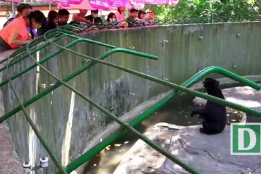Đến Thảo Cầm Viên để…  chọc phá thú ?!