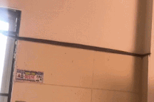 Rắn cỡ lớn trườn vào nhà bếp tại Phú Thọ là loài gì? Có nguy hiểm không?