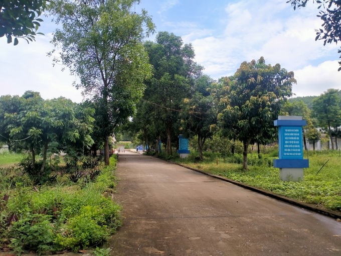 Cơ sở Chăm sóc người tâm thần tỉnh Bắc Giang luôn rợp bóng cây xanh cùng hoa trái tươi đẹp