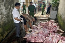Đề nghị xử lý nghiêm việc giết mổ lợn bệnh, lợn chết mang đi tiêu thụ