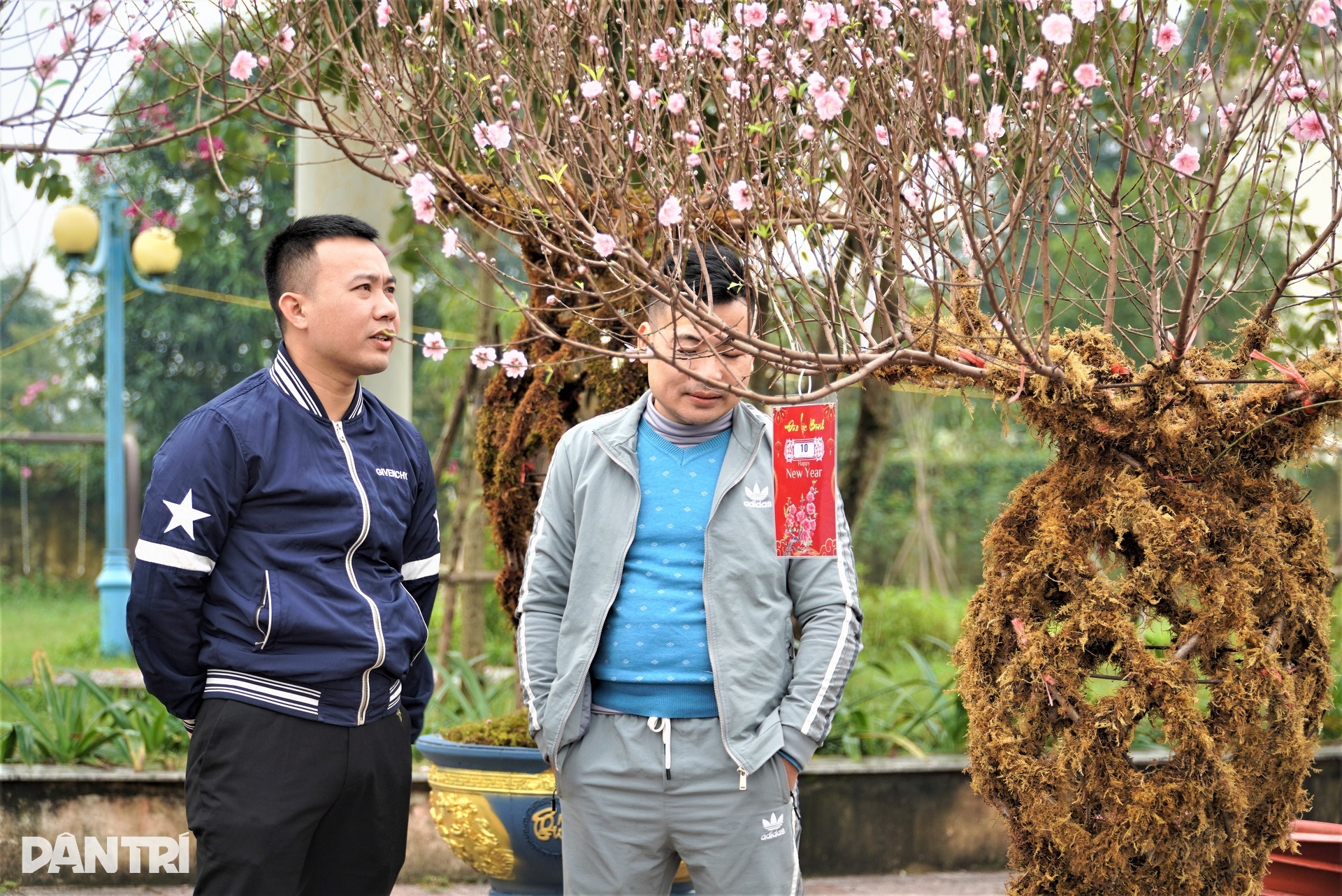 Unikátní váza s broskvovým květem v ceně kolem 10 milionů VND, uvedena na trh k lunárnímu Novému roku 2024 - 11 Đào lộc bình độc lạ giá trên dưới 10 triệu đồng ra mắt Tết Giáp Thìn 2024 - 11