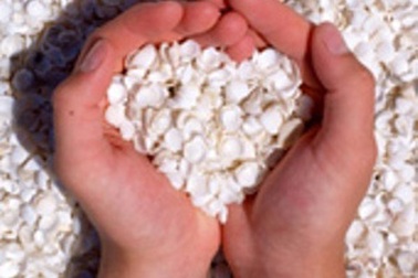 Nỗi niềm vợ sếp...