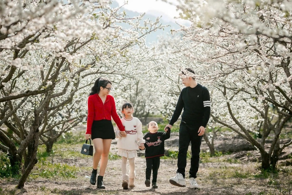 Nông nghiệp xanh ở Sơn La tạo nên thương hiệu du lịch nông thôn Tây Bắc - 4 Nông nghiệp xanh ở Sơn La tạo nên thương hiệu du lịch nông thôn Tây Bắc - 4