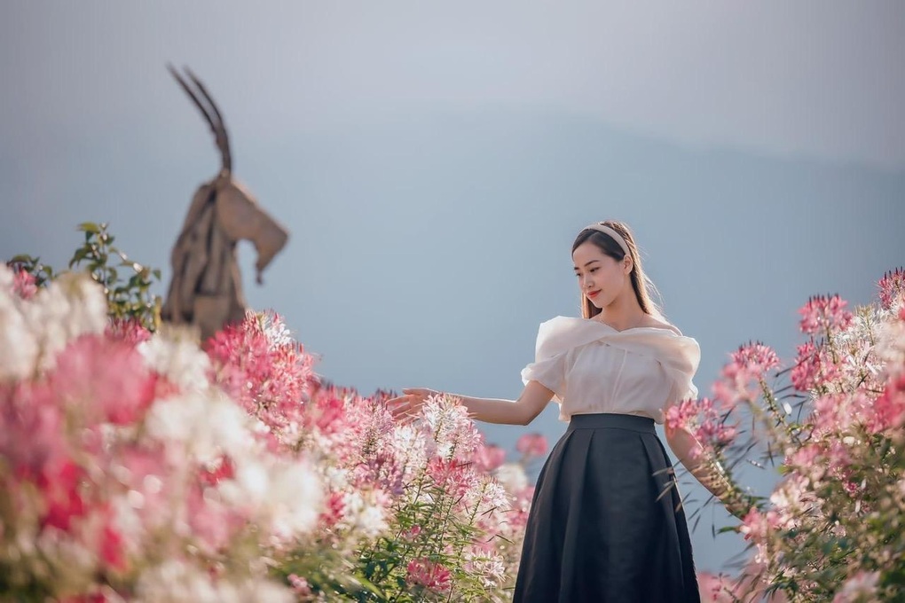 Fansipan mang vẻ đẹp siêu thực mùa mây phủ - 6 Fansipan mang vẻ đẹp siêu thực mùa mây phủ - 6