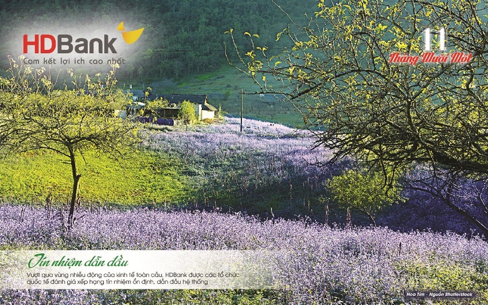 HDBank đi cùng những mùa hoa Đất nước - 12 HDBank đi cùng những mùa hoa Đất nước - 12