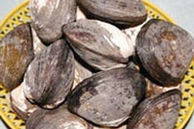 Phát hiện bãi vọp có trữ lượng lớn