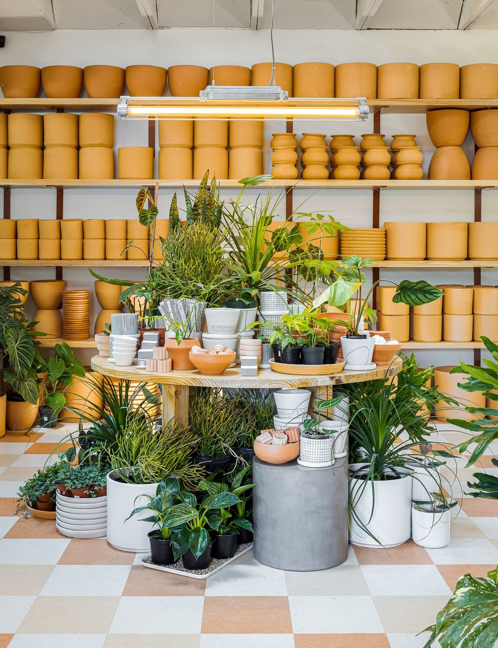 Quán cà phê đẹp như tranh, phủ xanh không gian bằng hệ thực vật phong phú - 10 Quán cà phê đẹp như tranh, phủ xanh không gian bằng hệ thực vật phong phú - 10