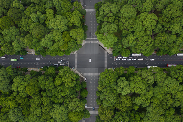 Những con đường rợp bóng cây xanh, xua tan cái nóng ở TPHCM