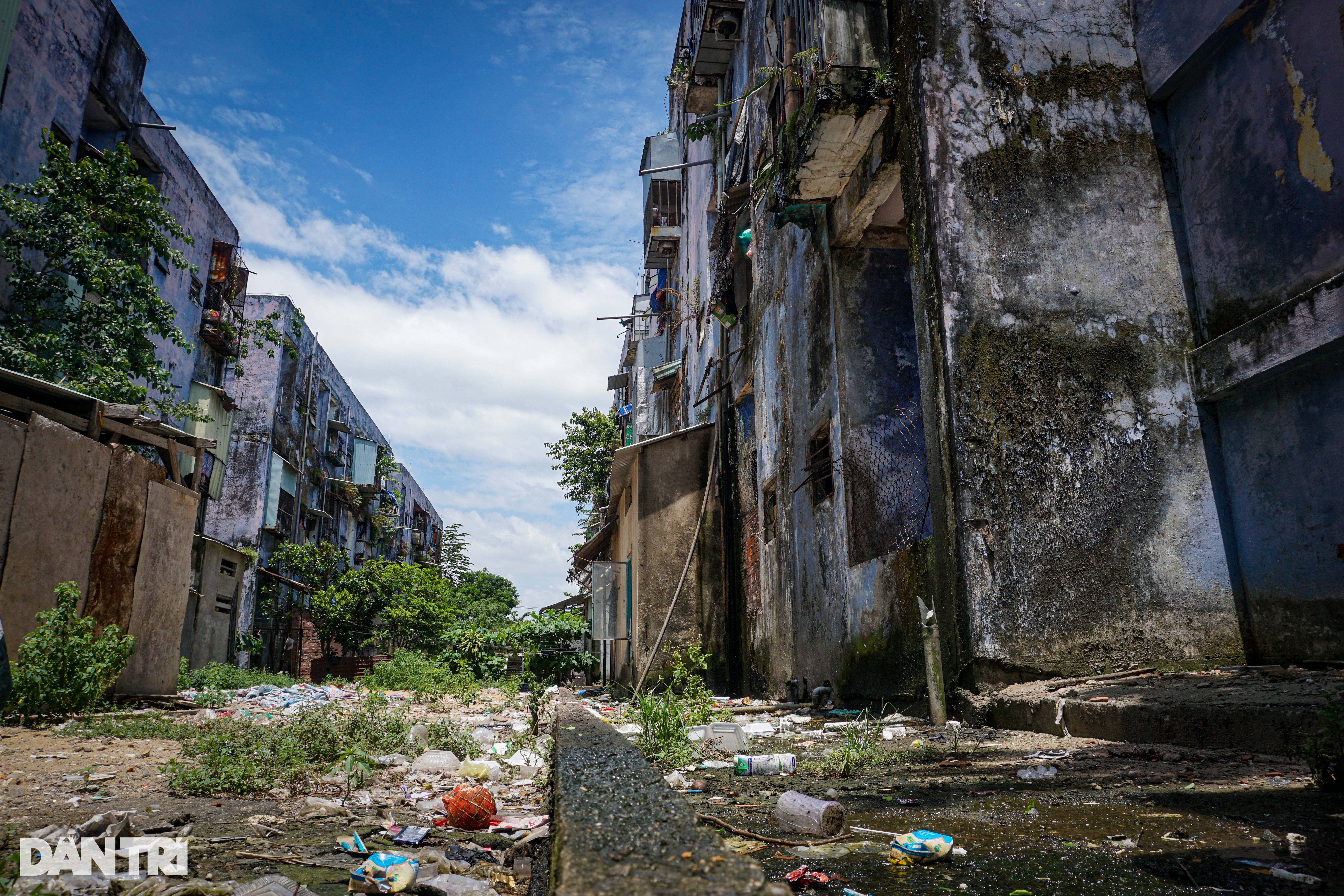 Lối thoát cho chung cư chờ sập, ngập rác và chuột ở Đà Nẵng - 1