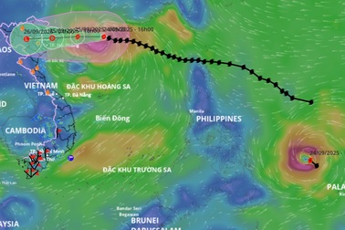 Bão Ragasa sẽ giảm 5 cấp trong vòng 24 giờ