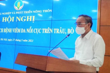 Bộ Nông nghiệp đẩy nhanh việc tiêm vắc xin phòng bệnh lạ ở trâu bò