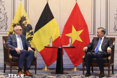 Tổng Bí thư, Chủ tịch nước Tô Lâm tiếp Bộ trưởng, Thủ hiến vùng Flanders và Bộ trưởng, Thủ hiến vùng Wallonie