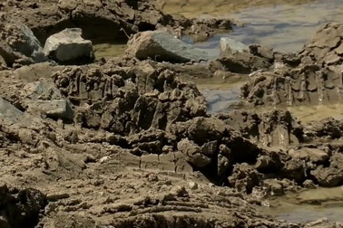 "Nghe lời" Google Maps, cả trăm ô tô mắc kẹt giữa cánh đồng