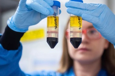 Anh phê duyệt vắc xin Covid-19 "bình dân"