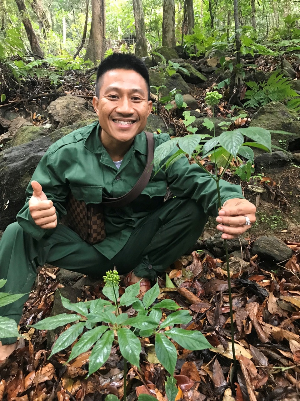 Chiêm ngưỡng “báu vật” Sâm Ngọc Linh rừng hơn 100 năm tuổi dáng rồng lượn - 3 Chiêm ngưỡng “báu vật” Sâm Ngọc Linh rừng hơn 100 năm tuổi dáng rồng lượn - 3