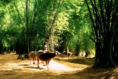 Bến sông quê nội chiều cuối năm