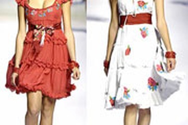 Những bông hoa đa sắc 