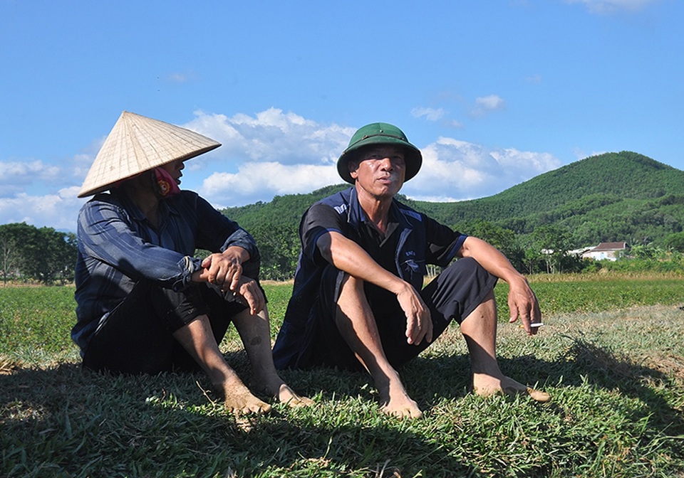 Vựa chè lớn nhất Hà Tĩnh cháy khô vì nắng nóng - 12 Vựa chè lớn nhất Hà Tĩnh cháy khô vì nắng nóng - 12