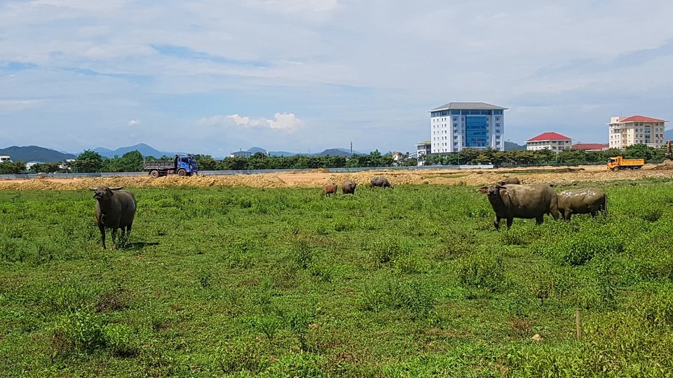 Dự án 100 tỷ chậm tiến độ nghiêm trọng - 5 Dự án 100 tỷ chậm tiến độ nghiêm trọng - 5