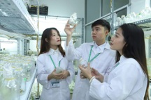 "Nhà nước không thể hút nhân tài trẻ bằng lương khởi điểm hệ số 2,34"