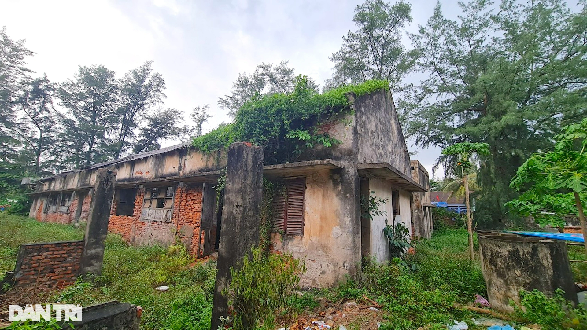 Nhếch nhác ở bãi biển Cửa Lò: Khiếp sợ với những khu nhà bị bỏ hoang - 7 Nhếch nhác ở bãi biển Cửa Lò: Khiếp sợ với những khu nhà bị bỏ hoang - 7