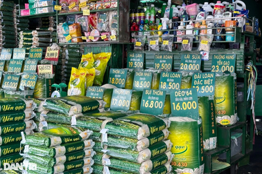 Chủ sạp than hầu như không còn gạo giá dưới 16.000 đồng/kg