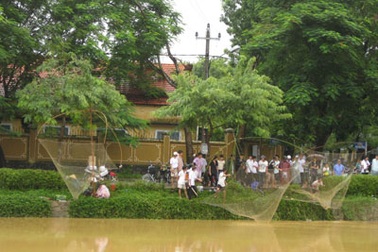 Rủ nhau kéo cá ngày mưa