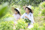 MC Minh Trang: “Có nên trả công cho con khi làm việc nhà?”